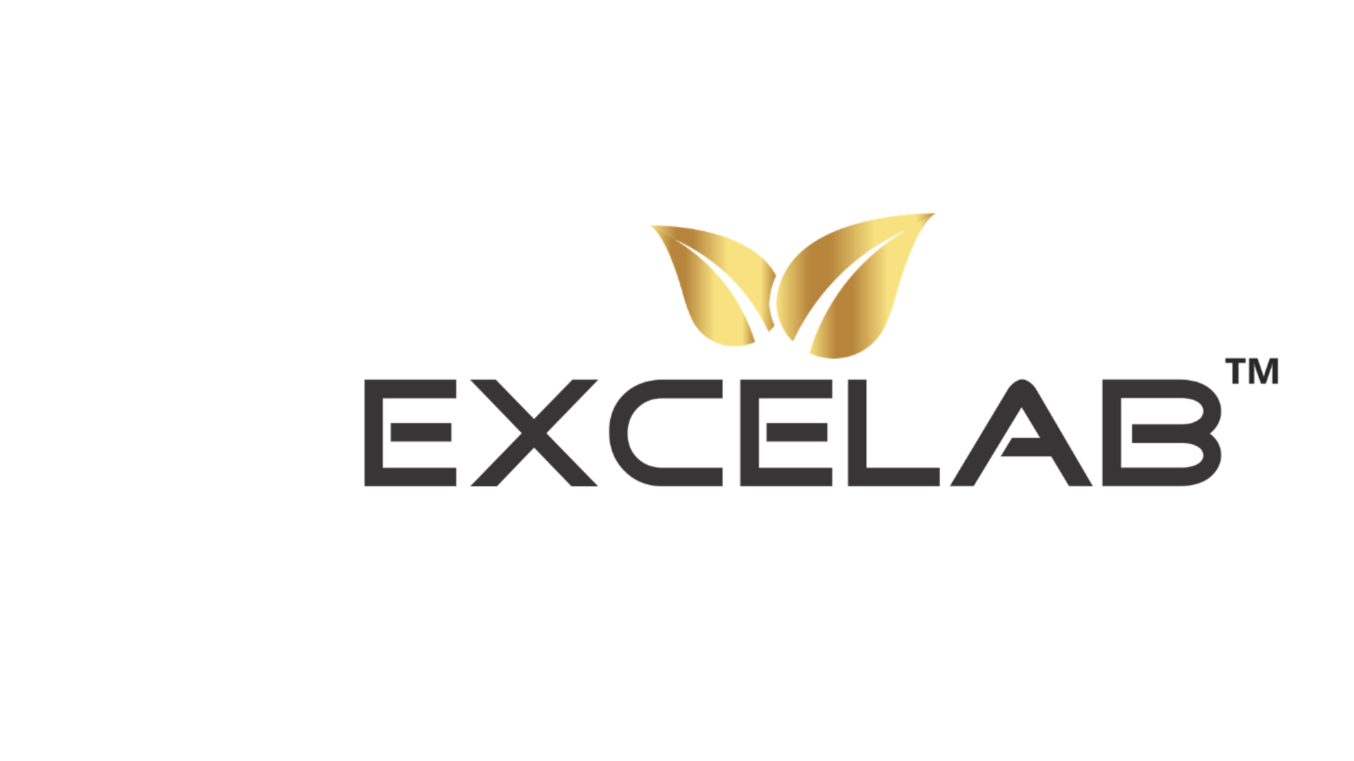 EXCELAB
